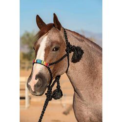Professional's Choice Cowboy Braided Rope Halter