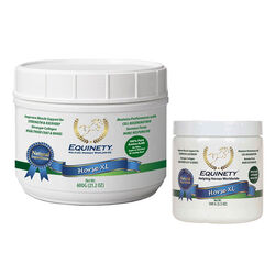Equinety Horse XL