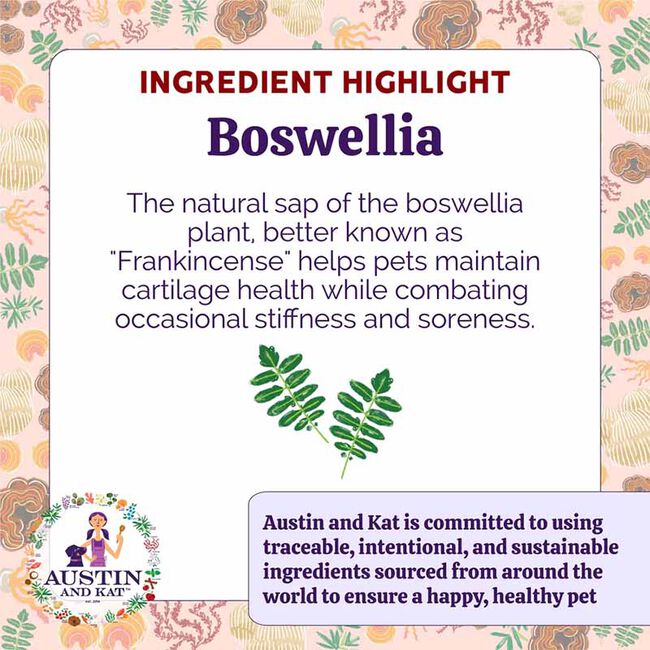 Austin and Kat Bakko's Hip and Joint Chew 14mg - 10 oz image number null