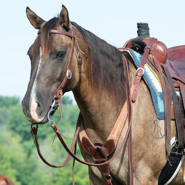 Weaver Leather Rough Out Oiled Canyon Rose Pulling Breastcollar  image number null