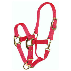 Hamilton 3/4" Adjustable Chin Halter with Snap - Pony