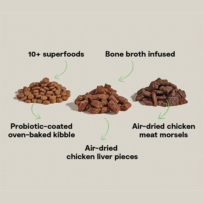 Open Farm Epic Blend High Protein Dog Food - Chicken & Superfood Recipe image number null