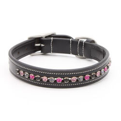 KL Select Crystal Dog Collar - Blackberry