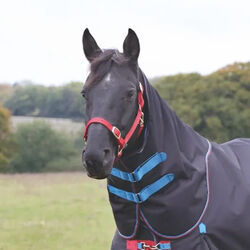 Shires Highlander 200 Neck Cover - Navy