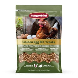 Hungrybird Hungryhen Golden Egg Bit Treats - 28 oz