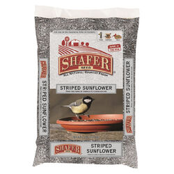 Shafer Seed Striped Sunflower Seeds - 25 lb