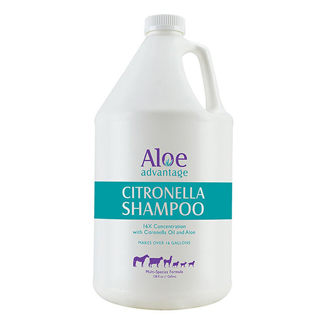 Durvet Aloe Advantage Citronella Shampoo - Gallon image number null