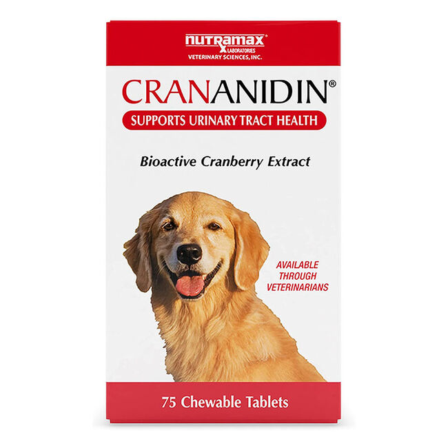 Nutramax Laboratories Crananidin Tablets for Dogs image number null