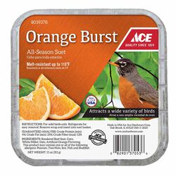 Ace Hardware Assorted Species Suet - Orange Burst - 11 oz