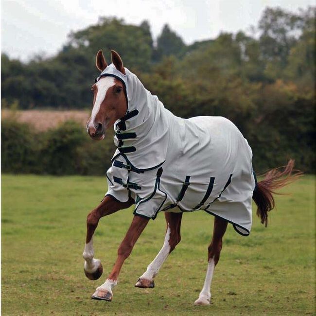 Shires Sweet-Itch Combo Fly Sheet - White image number null