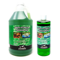 First Companion Veterinary Anti-Fungal Shampoo