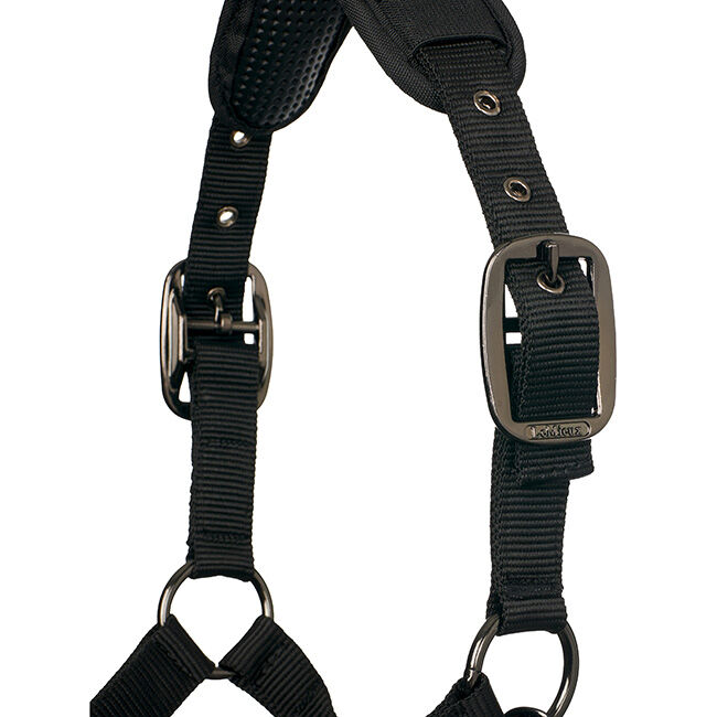 LeMieux ProSafe Halter - Black image number null
