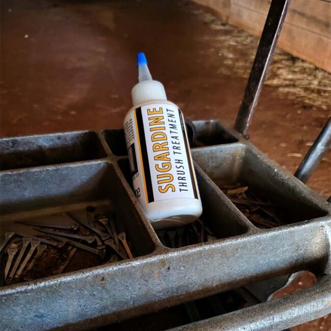 B Gone Sugardine Thrush Treatment image number null