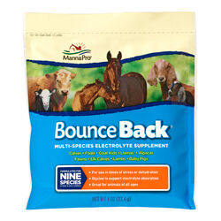 Manna Pro Bounce Back Multi-Species Electrolyte Supplement