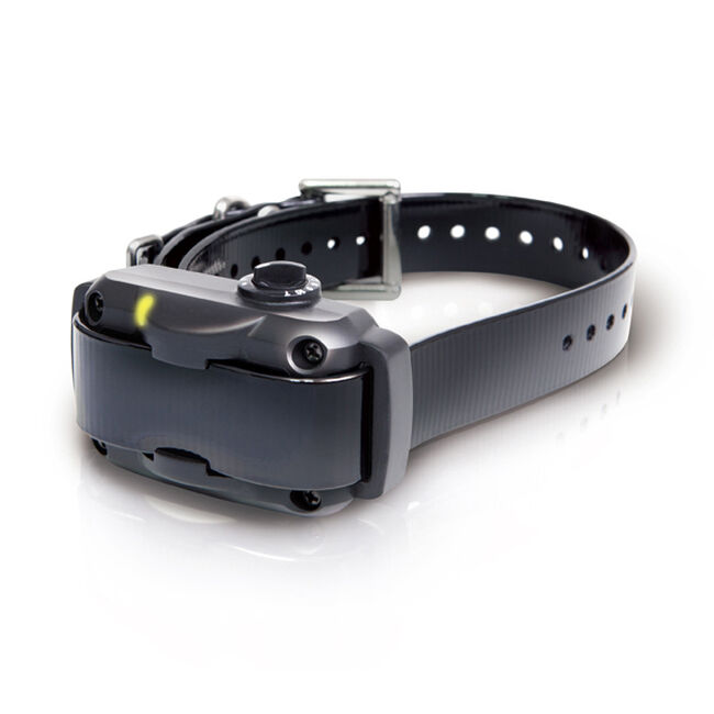 Dogtra YS600 No Bark Collar image number null