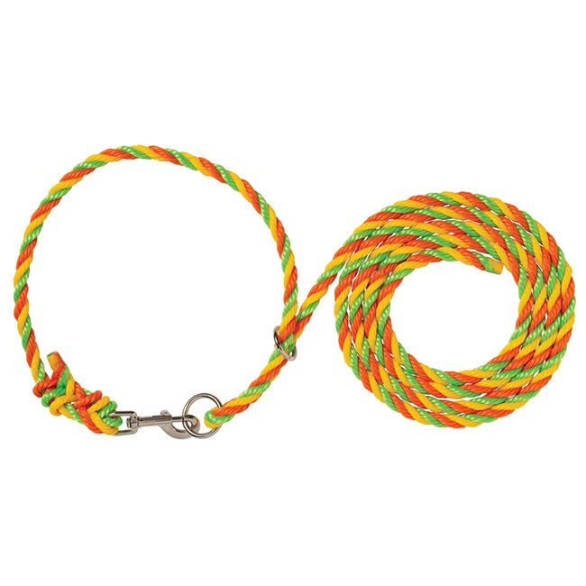 Weaver Livestock Adjustable Poly Neck Rope | The Cheshire Horse