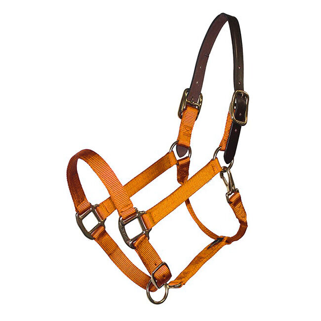 Triple E Breakaway 1” Adjustable Nylon Halter Orange image number null