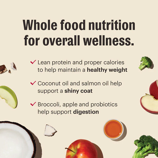 The Honest Kitchen Grain-Free Whole Food Clusters Dog Food - Chicken Recipe image number null