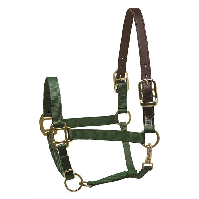 Perri's Leather Nylon Safety Halter image number null
