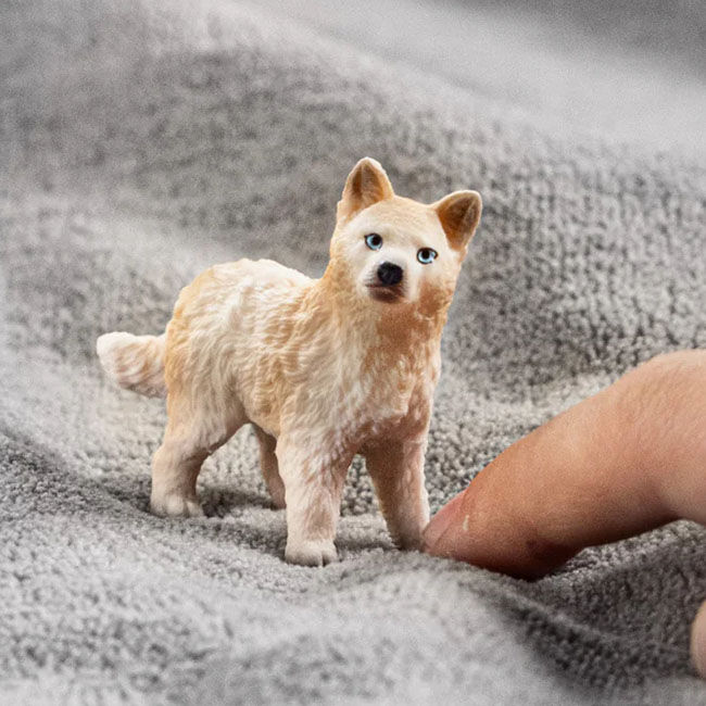 Schleich Arctic Wolf Cub image number null
