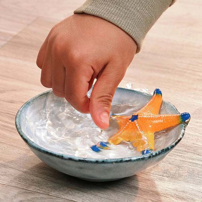 Schleich Color-Changing Starfish image number null