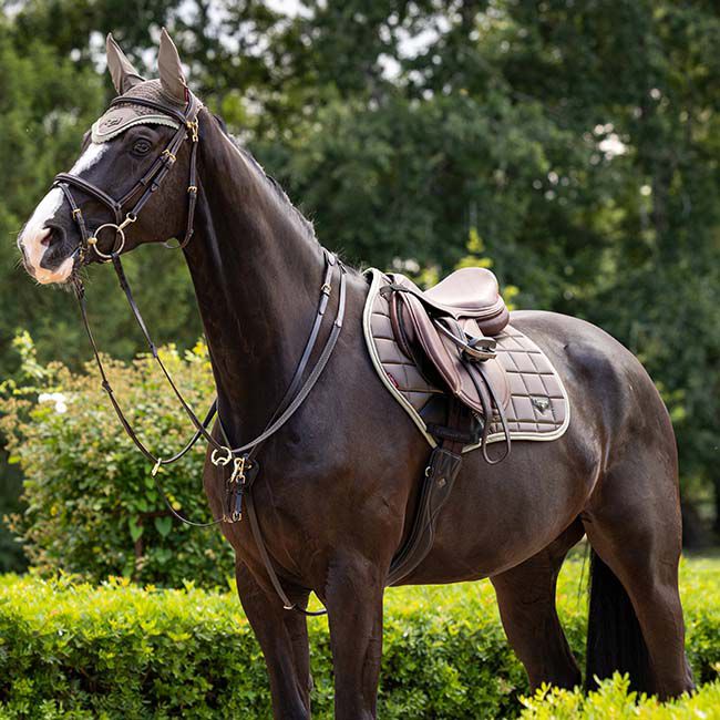 LeMieux Loire Classic Close Contact Pad - Walnut image number null