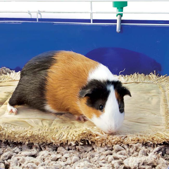 Ware Pet Products Critter Comfort Corn Husk Mat image number null