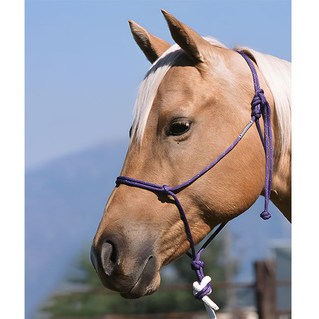 Double Diamond Buck Brannaman 6mm Nylon Rope Halter image number null