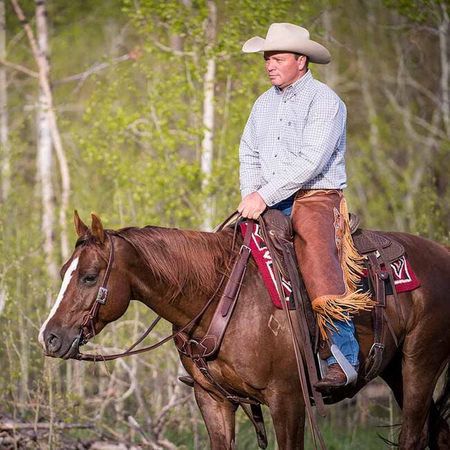 Weaver Equine Professional Thin Style Shank Bit with Sweet Iron Mouth with Copper Inlay image number null