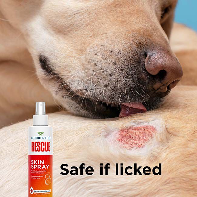 Wondercide RESCUE Skin Spray for Dogs & Cats - 8.5 oz image number null