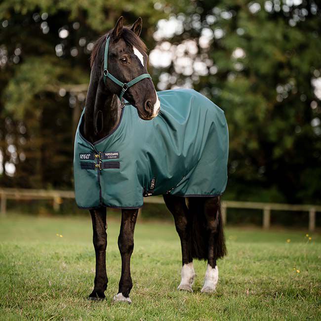 Horseware Amigo Ripstop 900D Pony Turnout (200g) - Dynasty Green/Navy/Silver image number null