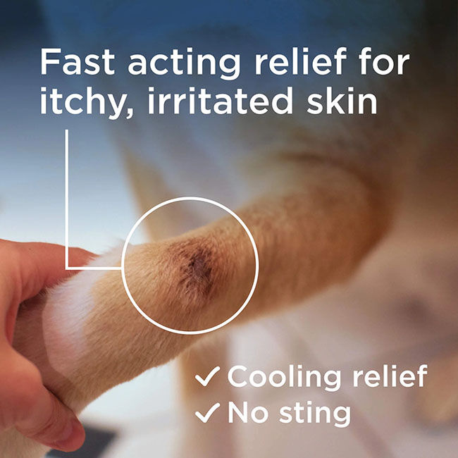 Wondercide RESCUE Skin Spray for Dogs & Cats - 8.5 oz image number null