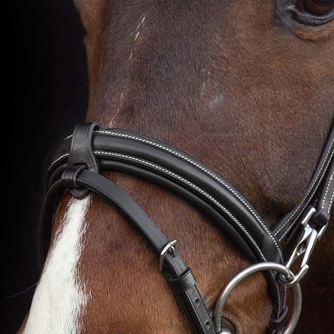 Schockemohle Sports SP Dortmund Bridle image number null