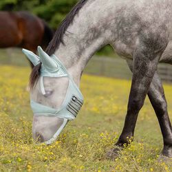 Equinavia Algard Soft Mesh Long Nose Fly Mask - Misty Jade