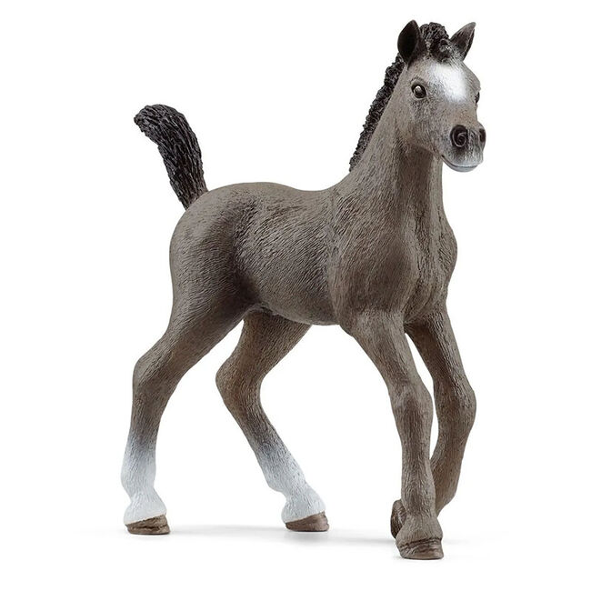 Schleich Selle Francais Foal image number null