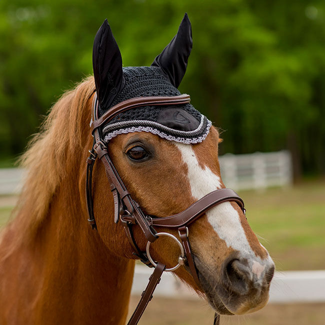 Lettia Shadow Ear Net image number null