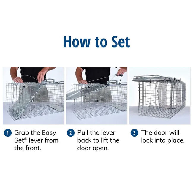 Havahart Easy Set Large 1Door Animal Trap The Cheshire Horse