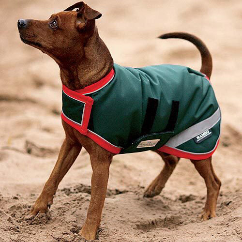 Horseware Rambo Dog Blanket Closeout