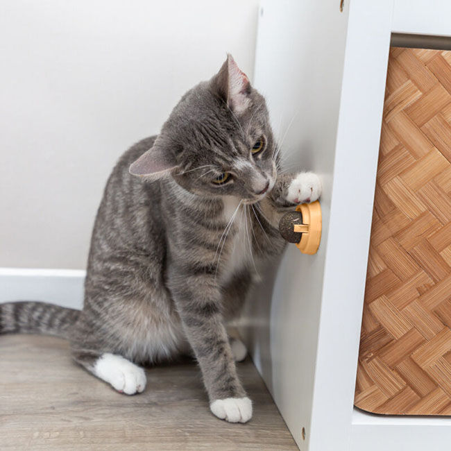 Trixie Rotating Silvervine Ball image number null