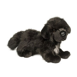 Douglas Bundy the Newfoundland
