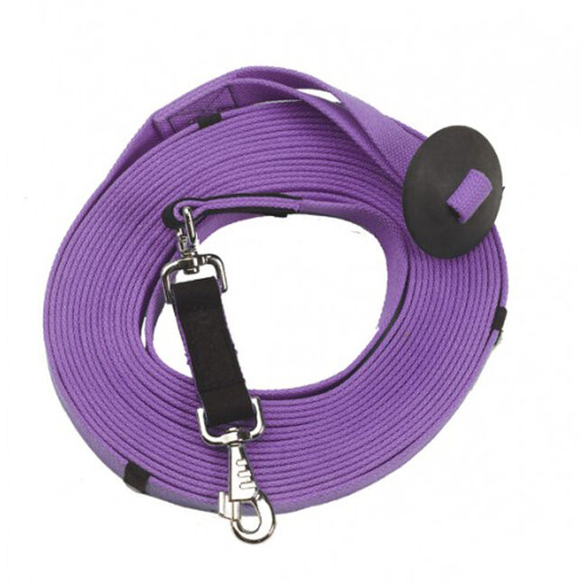 Centaur Poly-Cotton Web 35' Lunge Line with Donut image number null