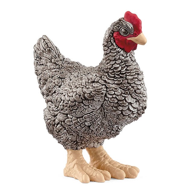 Schleich Plymouth Rock Chicken image number null