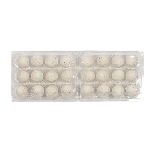 EggCartons.com Quail 12-Egg Plastic Carton image number null