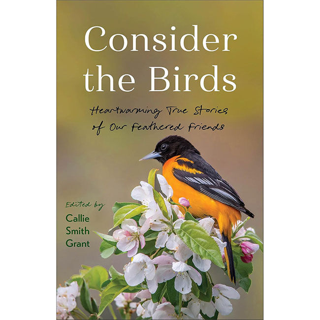 Consider the Birds: Heartwarming True Stories of Our Feathered Friends image number null