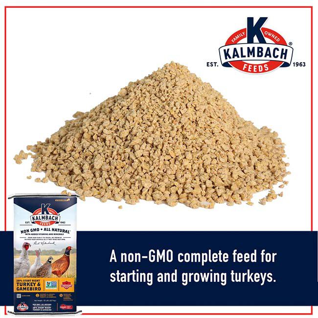 Kalmbach Feeds 28% Non-GMO Start Right Turkey & Gamebird Feed - 50 lb image number null