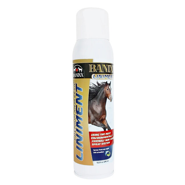 Banixx Liniment Spray for Horses image number null
