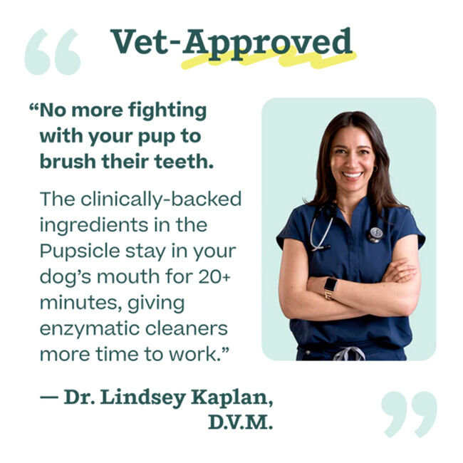 Woof Pupsicle Treat Mix - Doggy Dental - 5.5 oz image number null