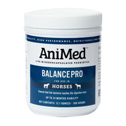 AniMed BalancePro Equine Probiotics for Horses