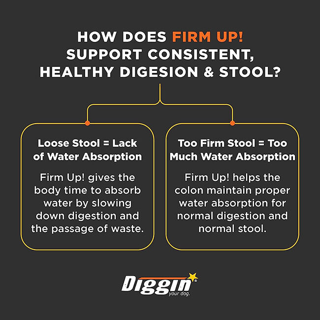 Diggin Your Dog Firm Up! - Digestive Aid Pumpkin Powder image number null