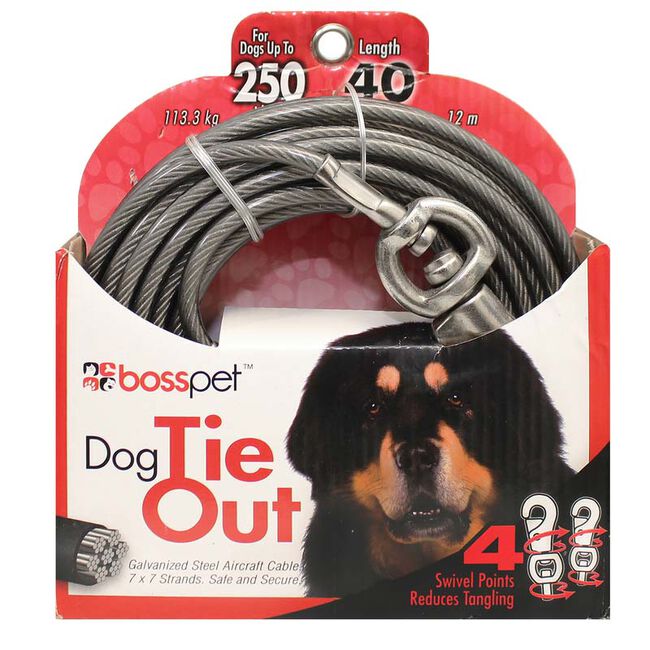 Boss Pet Vinyl-Coated Cable Dog Tie-Out - Silver image number null